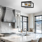 11.41 in. 2-Light Black and Gold Farmhouse Caged Square Flush Mount Industrial Vintage Ceiling Lighting