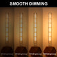 Edison T30 LED Tubular Bulb,Vintage Filament Design, 6W (60W Equivalent), Warm White 2700K, Dimmable, E26 Base, 2 Pack
