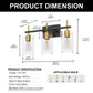 20 in. 3-Light Bathroom Fixture, Black and Gold Metal Vanity Light Frame with Clear Glass Shades