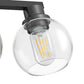 19 in. 3-Light Black Bathroom Vanity Light, LED Interior Powder Room Lighting with Clear Globe Shades