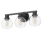 19 in. 3-Light Black Bathroom Vanity Light, LED Interior Powder Room Lighting with Clear Globe Shades