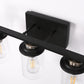 18.5 in. 3-Light Black and Brushed Nickel Vanity Light with Clear Glass Shade for Bathroom