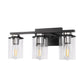18.5 in. 3-Light Black and Brushed Nickel Vanity Light with Clear Glass Shade for Bathroom