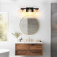 18.5 in. 3-Light Black and Brushed Nickel Vanity Light with Clear Glass Shade for Bathroom