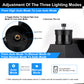 1-Light Black Dusk to Dawn Motion Sensor Outdoor Wall Lantern Sconce with Clear Glass and Built-In GFCI and USB Outlets