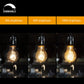 4 Pack Vintage Edison Bulbs with Filament, 60W Dimmable E26 A19 Antique Light, Golden Finish Industrial Design Amber Warm ,Omnidirectional 360 Degrees Angles