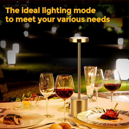 10 in. Gold Cordless Rechargeable Integrated LED Table Lamp, Stepless Brightness Task and Reading Desk Lamps (2-Pack)