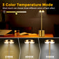 10 in. Gold Cordless Rechargeable Integrated LED Table Lamp, Stepless Brightness Task and Reading Desk Lamps (2-Pack)