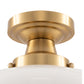 9 in. Rustic Farmhouse Schoolhouse Ceiling Light, Brass Finish with Frosted Glass Shade for Kitchen, Hallway, Bathroom
