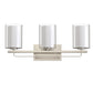 22 in. Industrial Brushed Nickel 3-Light Vanity Light, Clear Glass Shades and Sleek Design for Bathroom