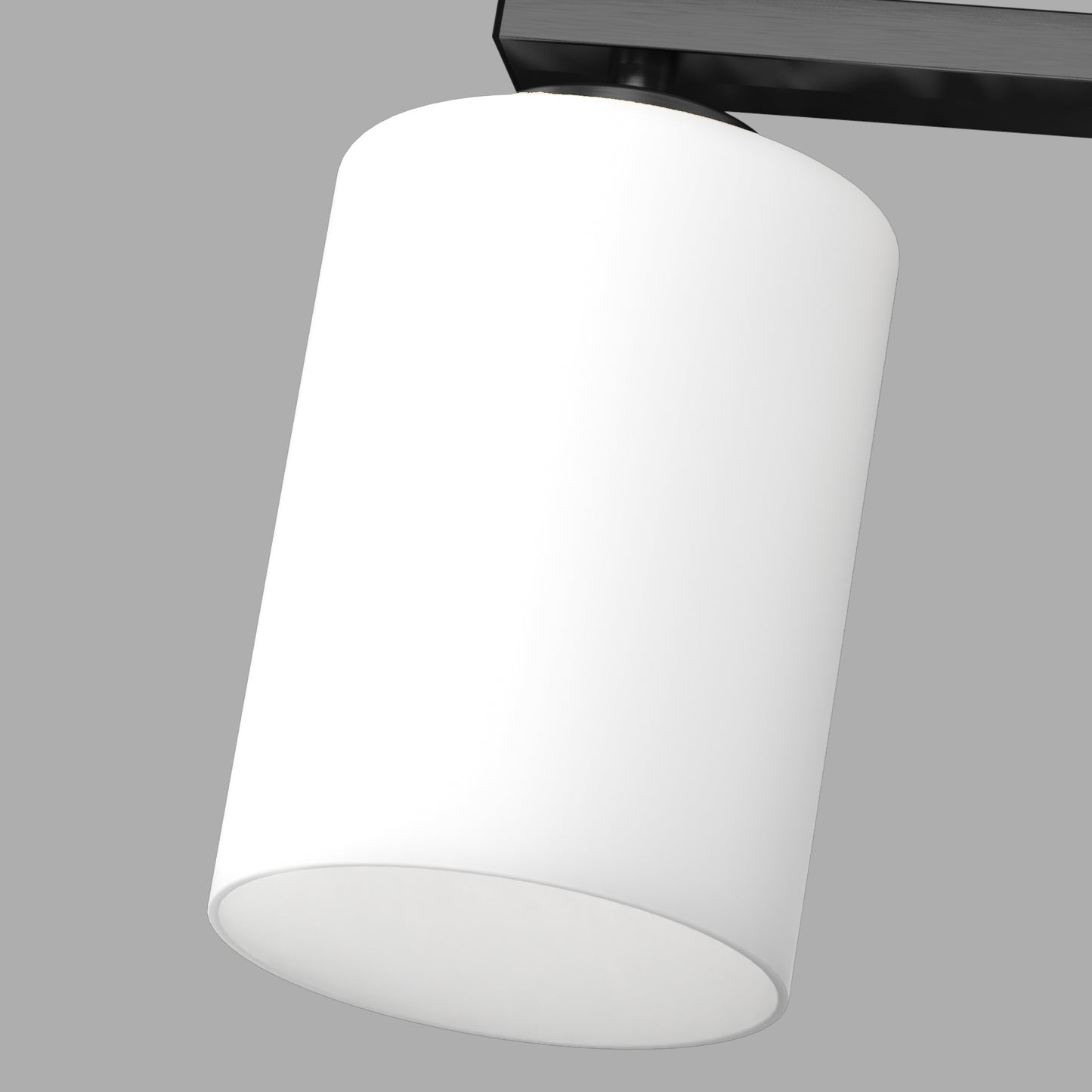 24 in. 4-Light Bathroom Vanity Light with Frosted Glass and Black Iron Frame