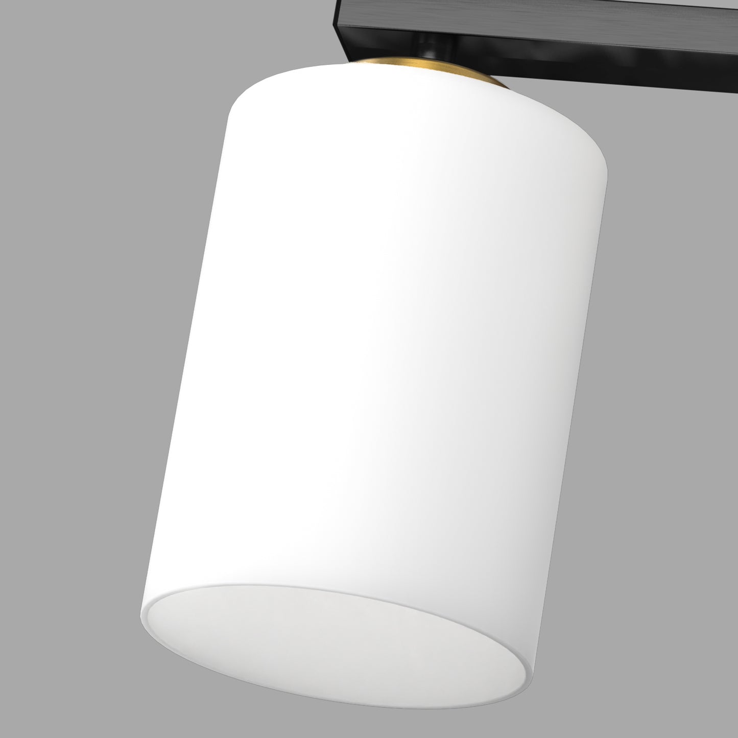 24 in. 4-Light Bathroom Vanity Light with White Glass and Black and Gold Iron Frame