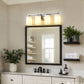 24 in. 4-Light Bathroom Vanity Light with Frosted Glass and Nickel Iron Frame