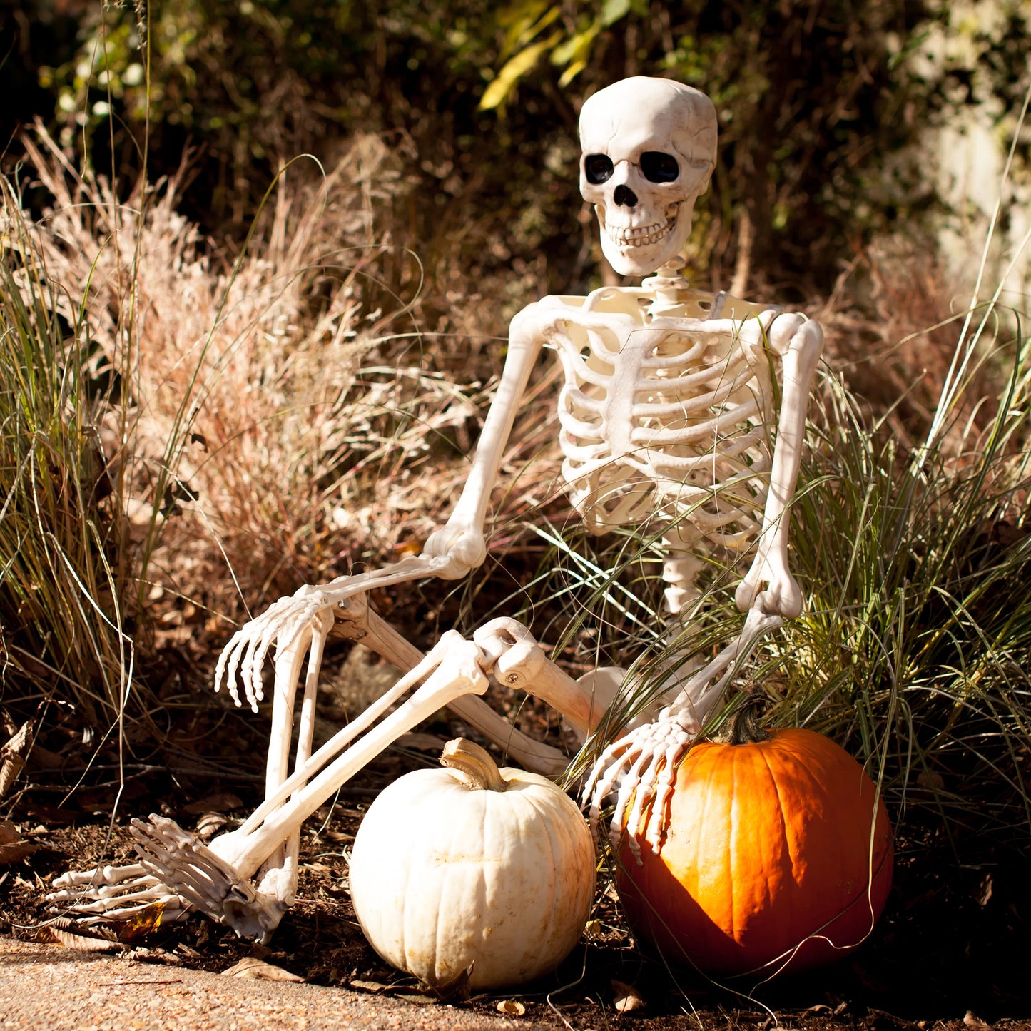 YANXUN Halloween Skeleton,2.6ft Hanging Skeleton,Full Size Human Skull Skeleton Anatomical For Halloween Party Prop