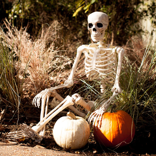 YANXUN Halloween Skeleton,2.6ft Hanging Skeleton,Full Size Human Skull Skeleton Anatomical For Halloween Party Prop